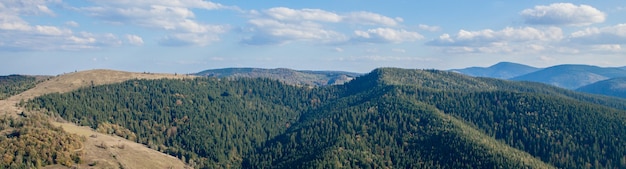 写真 山頂が森と曇り空に覆われた美しい山の風景。ウクライナの山々、ヨーロッパ。