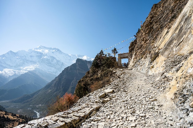 Beautiful mountain landscape with rocky road coniferous forest rocks and snowy peaks in Nepal