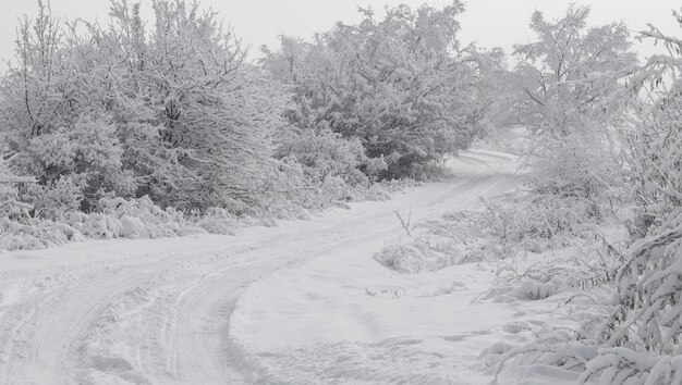 雪道のある美しい山の風景