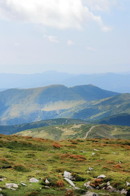 우크라이나 자연의 색조 관점 카르파티아 산맥이 있는 아름다운 산 풍경
