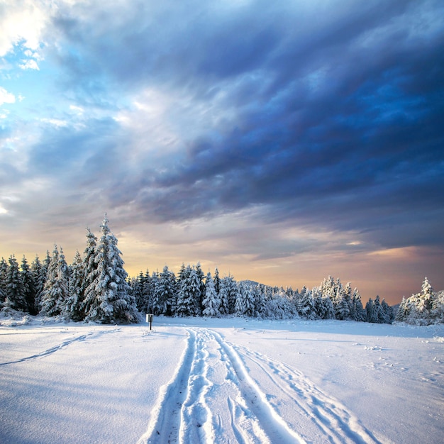 Beautiful mountain landscape