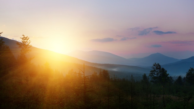 美しい山の風景