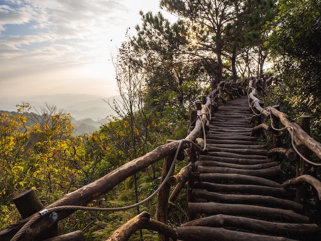 The beautiful mountain path with original woods in sunset time