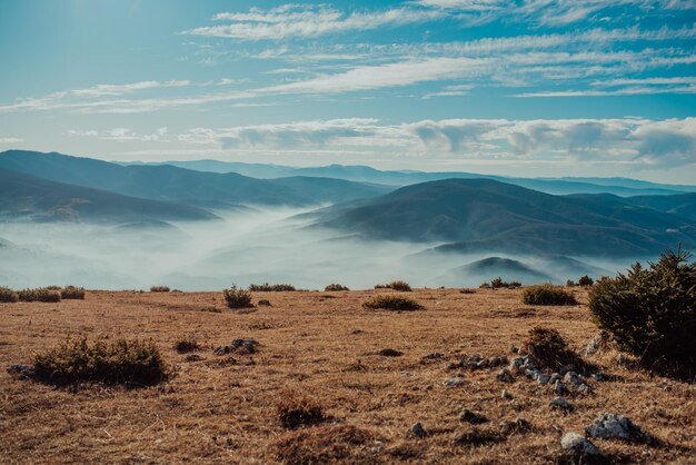 Belle cime di montagna nella nebbia mattutina