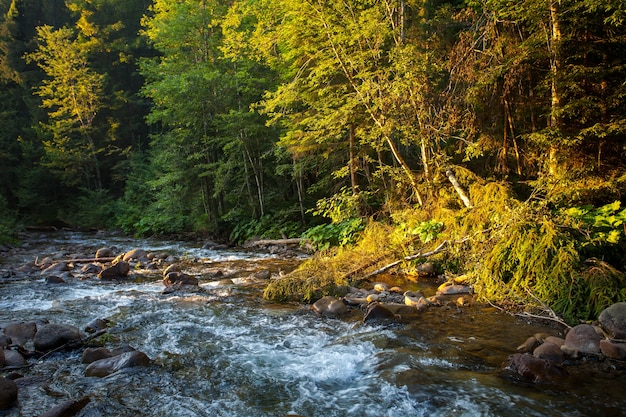 Beautiful mountain river in autumn forest nature landscape travel background holiday hiking sport