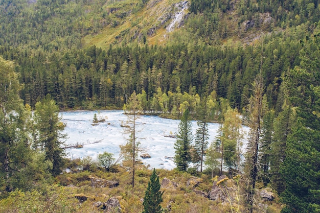 Beautiful mountain river. Kucherla river in Belukha national park, Altai mountains, Siberia, Russia