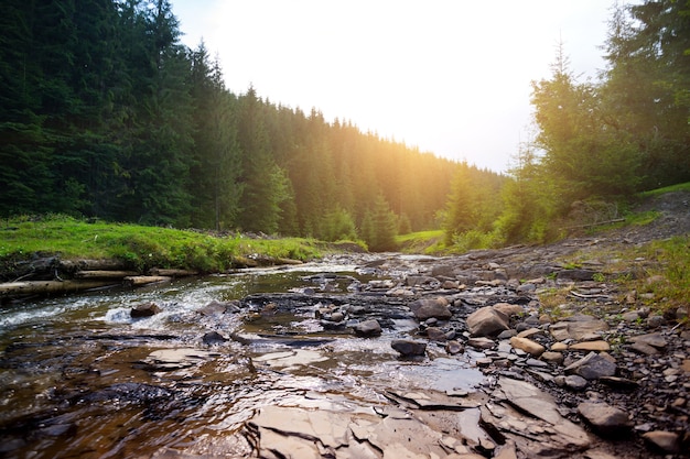 Carpathians, 우크라이나에서 일몰에 아름 다운 산 강