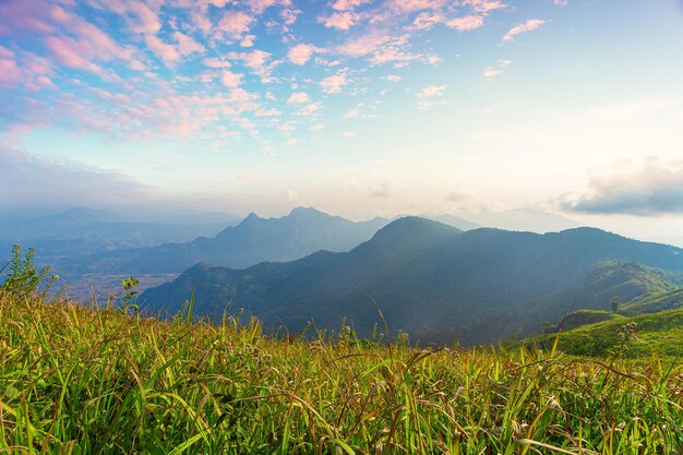 Bellissimo scenario di montagnavalle di montagna durante l'alba paesaggio estivo naturale