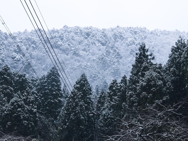 美しい山の雪のピーク。丘の氷上。