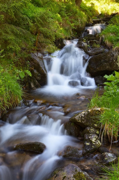 Beautiful mountain stream with cascades in the green forest