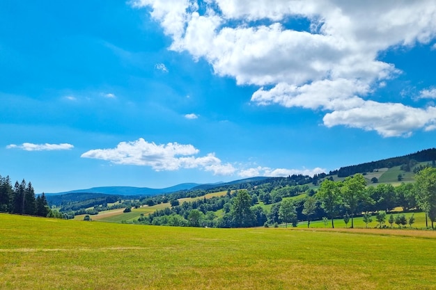 晴れた夏の日に美しい山の谷山の中を歩く緑の牧草地、自然の背景