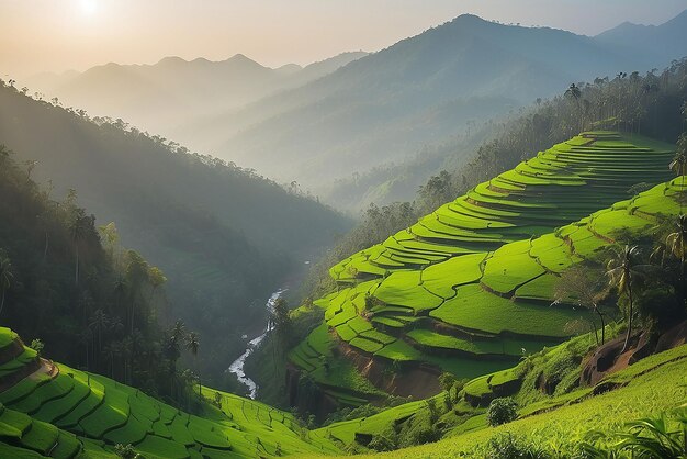 Beautiful Mountain valley with morning sunlight Kerala nature landscape image famous Tourist spot in Kannur Kerala India tourism and travel image