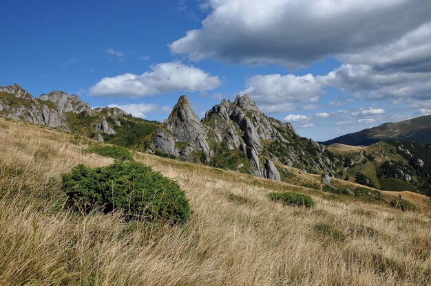 Beautiful mountain vista sedimentary rocks in the Carpathians