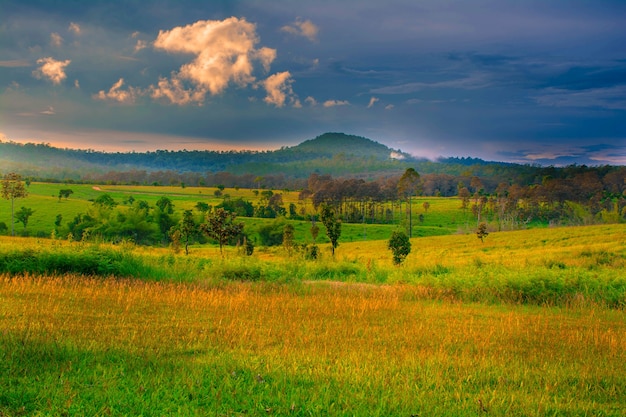 Beautiful mountain with grassland vivid colorful