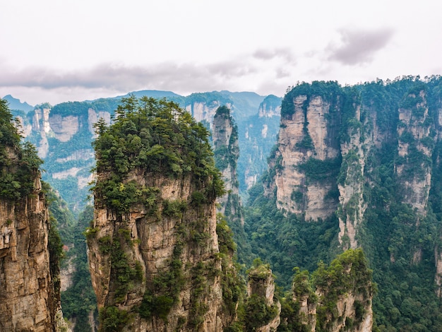 Foto bella montagna yalley di yuanjiajie o montagna avartar a zhangjiajie national forest park
