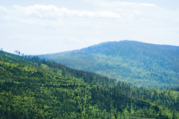 Beautiful mountains landscape Mountain forest