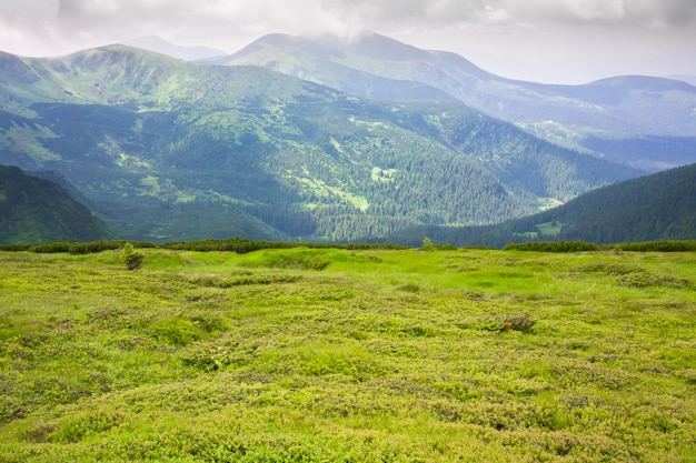 Foto splendido paesaggio montano