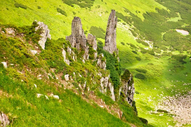 美しい山の風景