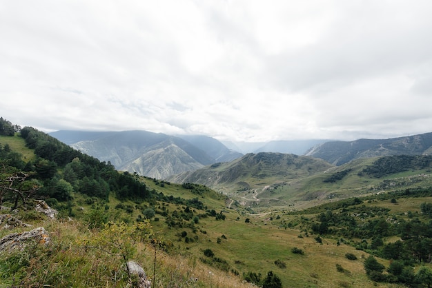 Beautiful mountains and wildlife around them on a Sunny day