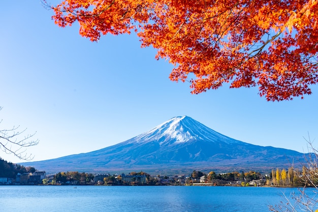 Photo beautiful mt.fuji with red maple leaf in autumn in japan.