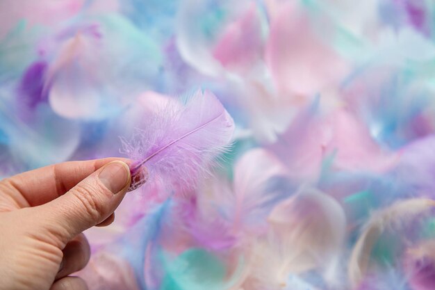 Beautiful multicolored feathers texture background selective focus