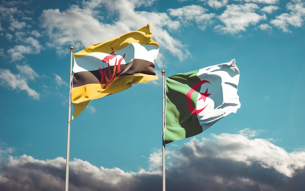 Beautiful national flags against the sky