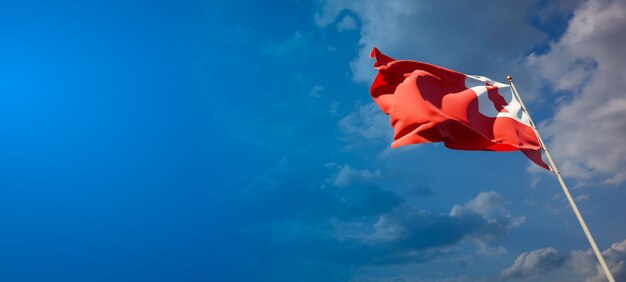 Beautiful national state flag of Tonga on blue sky