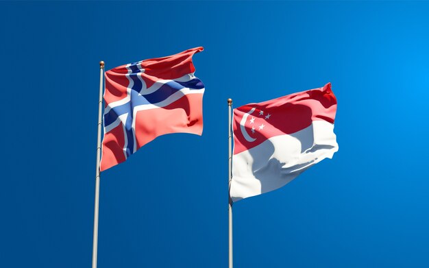 Beautiful national state flags of Norway and Singapore together