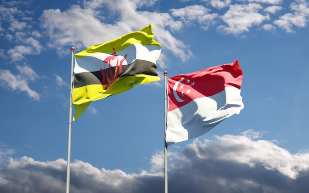 Beautiful national state flags of Singapore and Brunei