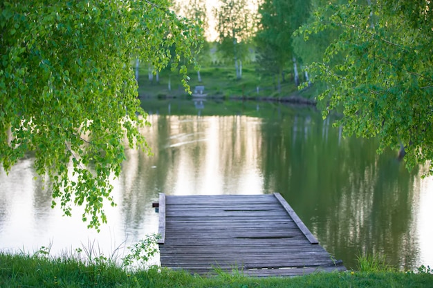 美しい自然の背景湖の木々と木製の橋