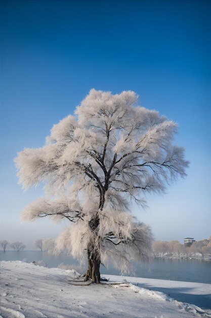 Beautiful natural landscape tree