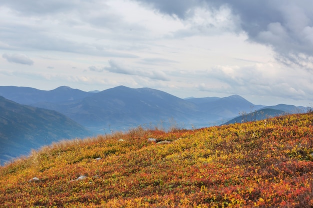 Beautiful natural landscapes in Carpathian mountains