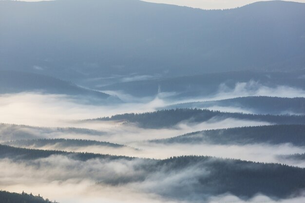 Beautiful natural landscapes in Carpathian mountains