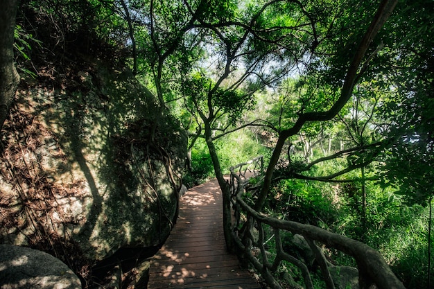 Beautiful and natural mountain path