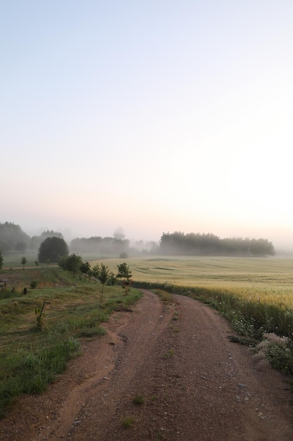 Beautiful natural pastoral scenery of countryside landscape in summer