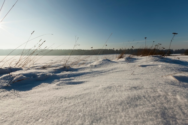 冬の美しい自然現象、嵐と降雪のあるサイクロンの後の厚い雪の層で覆われた土壌と草、寒い凍るような冬の天候と雪の漂流