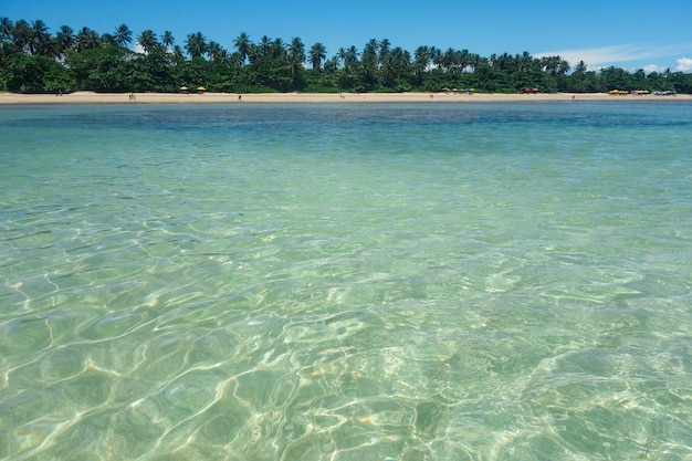 Beautiful natural pools with crystal clear water at low tide in Morro de Sao Paulo beach Bahia Brazil