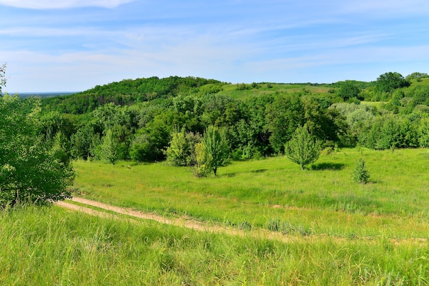 Foto bellissimo paesaggio estivo naturale con strada di terra. prati verdi, erba primaverile e cielo azzurro