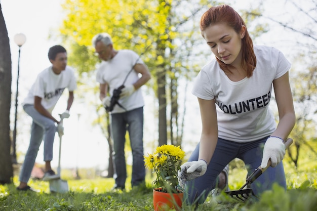 Beautiful nature. Attractive female volunteer using rake while working in park