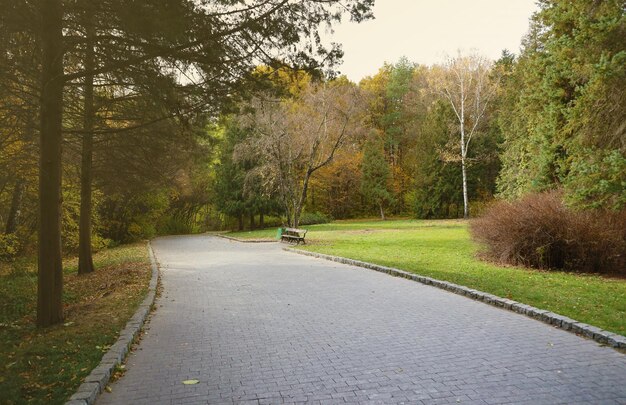 美しい秋の風景 秋の街の公園の景色 黄金の黄色い葉っぱ