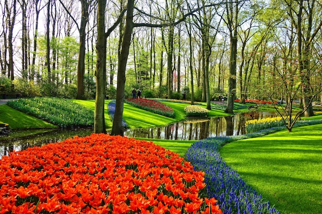 Beautiful nature background spring in the park