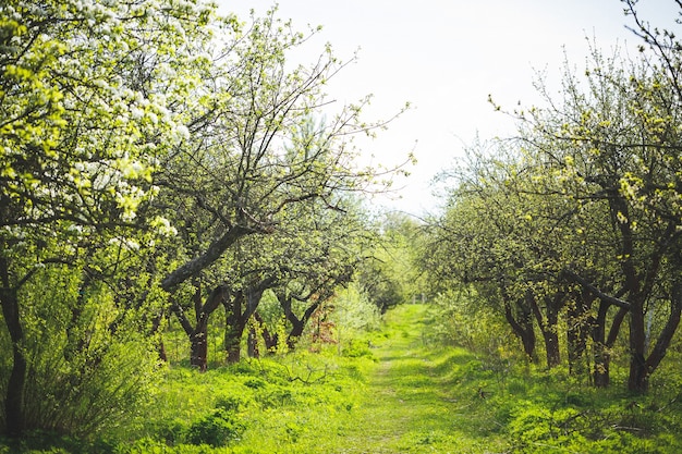 Beautiful nature on a bright sunny day