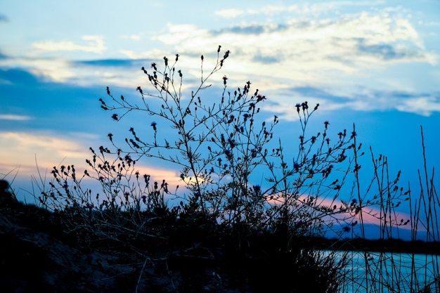 Beautiful nature by the sea against the of Greece silhouette