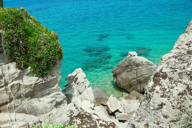 Beautiful nature by the sea on nature in the park background