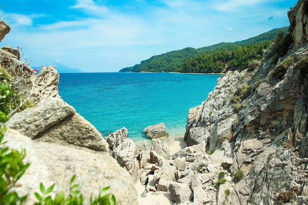 Beautiful nature by the sea on nature in the park background