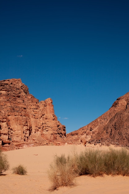 Beautiful nature in the desert of Egypt. Blue sky. Background image.