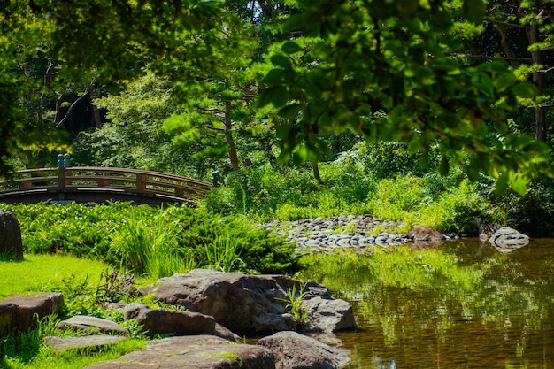 Beautiful nature of a garden in Japan