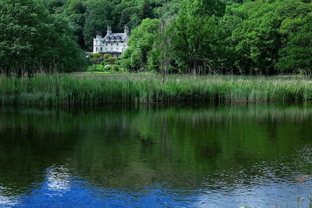 Beautiful nature and lake in England