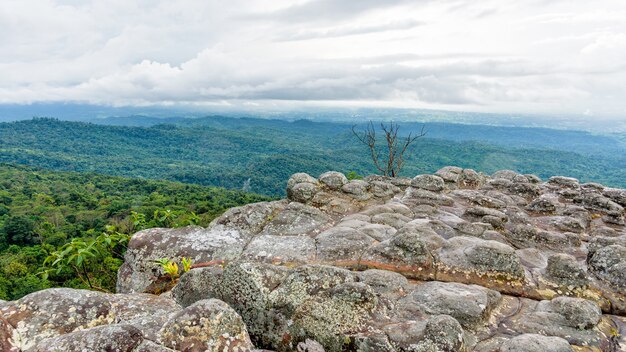 Beautiful nature landscape of green forests on Lan Hin Pum viewpoint with strange stone shapes caused by erosion is a famous nature attractions of Phu Hin Rong Kla National Park, Phitsanulok, Thailand