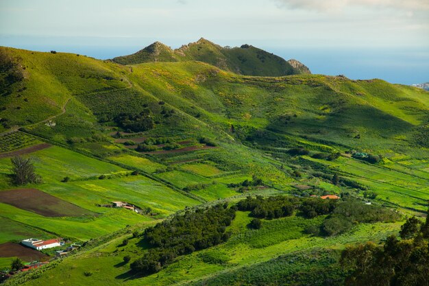 Beautiful Nature landscape in Tenerife, Spain. Amazing wild nature in Europe.